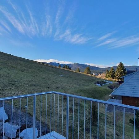 Апартаменты Adlernest Фельдберг Экстерьер фото